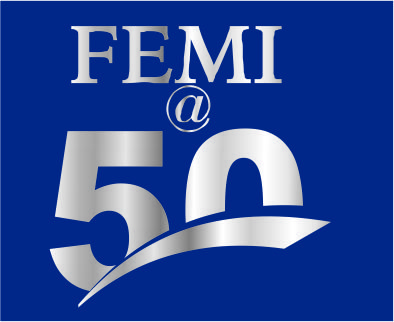 Fembol logo 1
